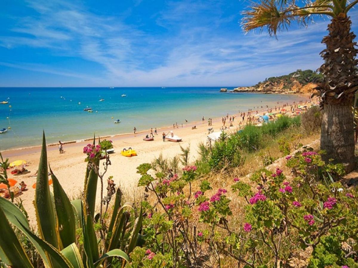 V4, Villa Jardins Branqueira Near Beach, Albufeira Exterior photo